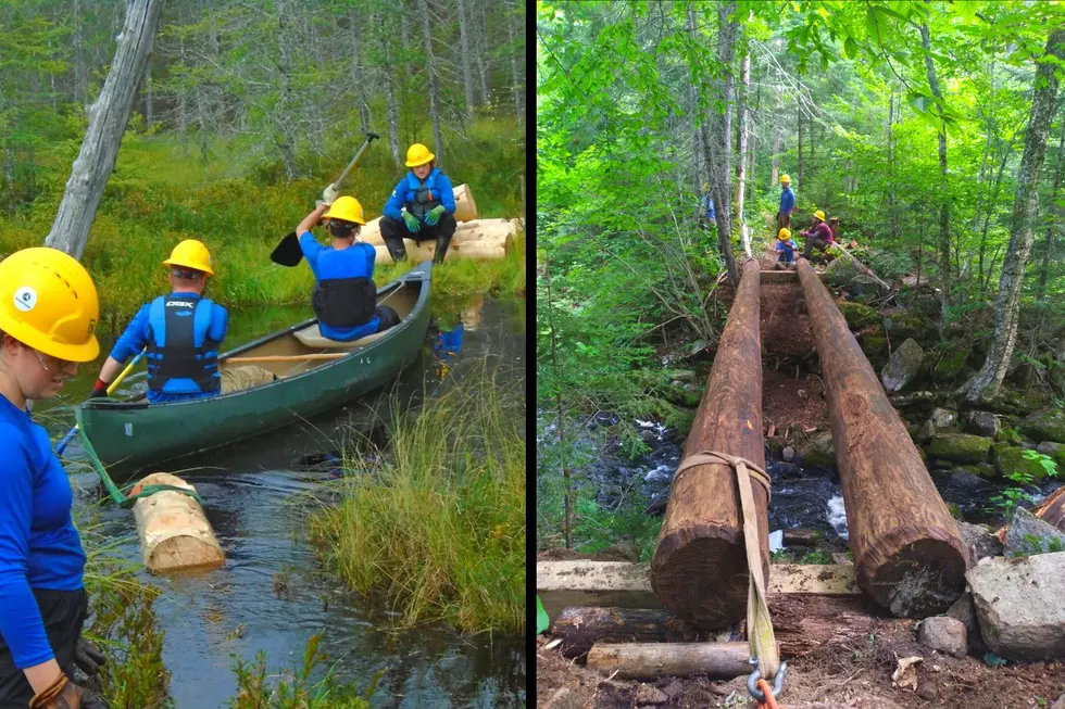 Students Work Hard to Build New Bridge by Hand in the Adirondacks