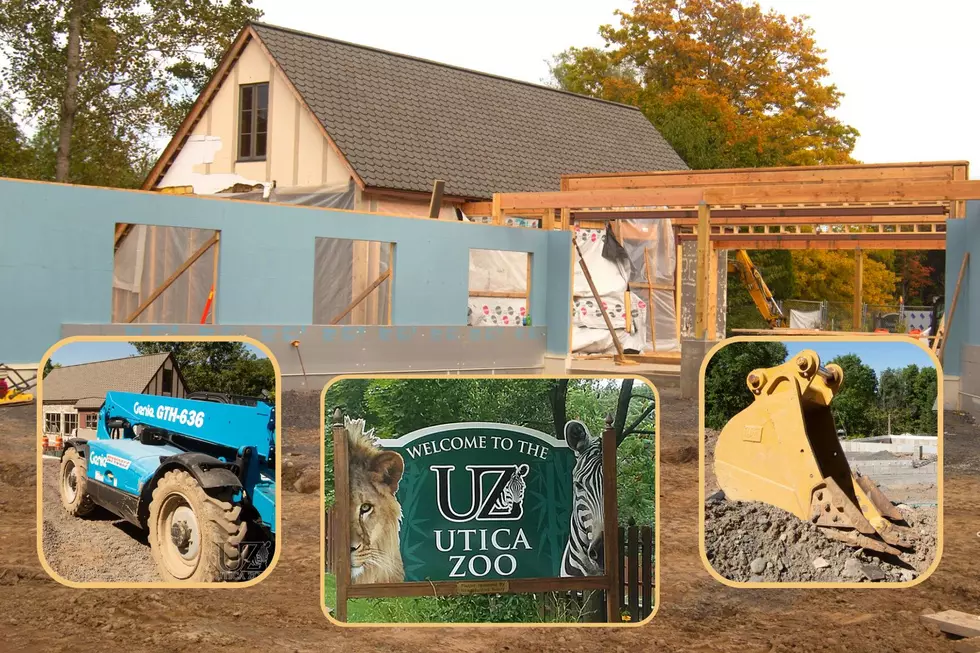 Look at the Progress! View Timelapse Of Utica Zoo’s Visitor Center