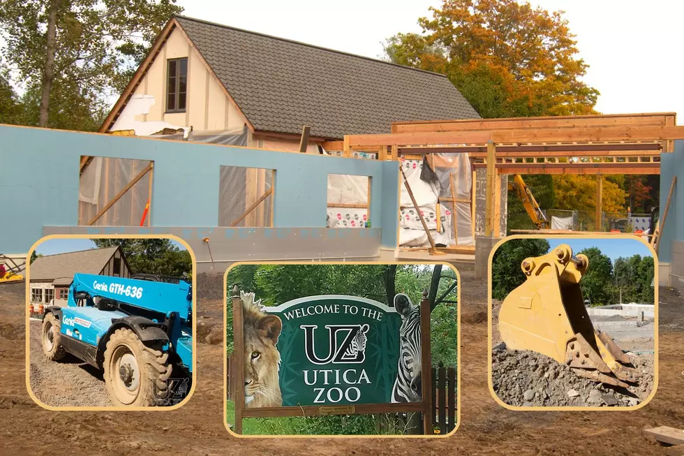 Look at the Progress! View Timelapse Of Utica Zoo&#8217;s Visitor Center