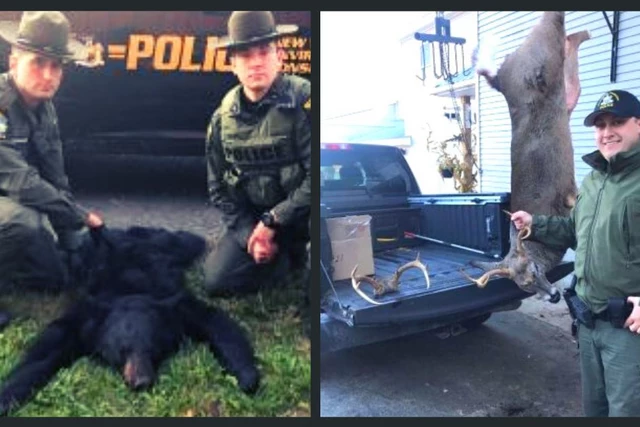 Hunters Illegally Bait Deer & Bear, 1 Even Posted on Social Media