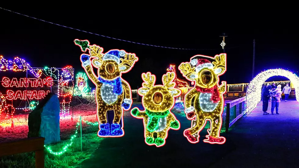Jungle Bells is a festive Christmas light show at Animal Adventure