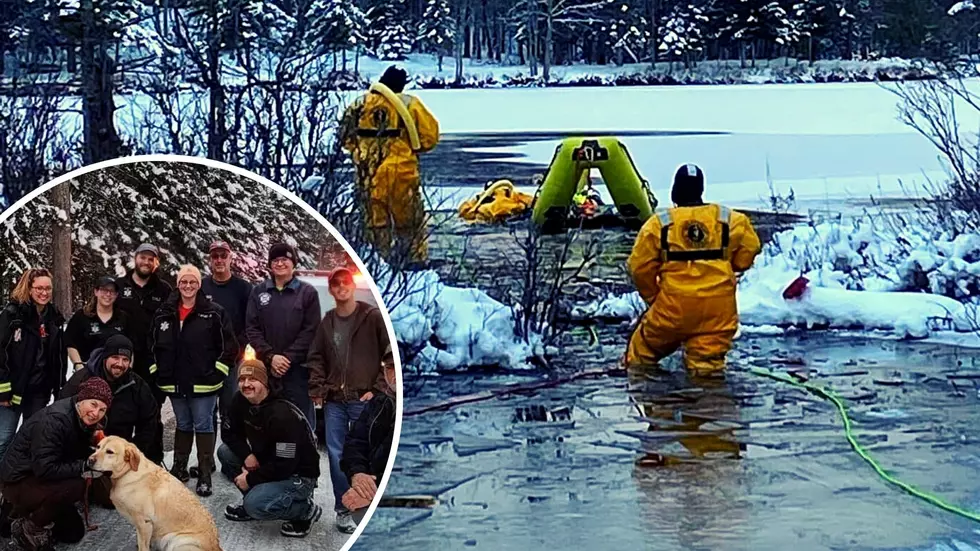 New CNY Ice Rescue Team Puts Training to Test to Rescue Dog