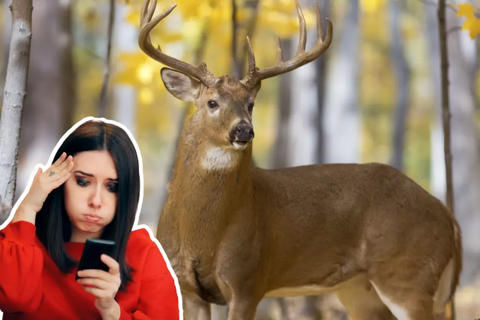 Hunter Busted Shooting 2 Bucks Thanks to His Wife’s Post on Social Media