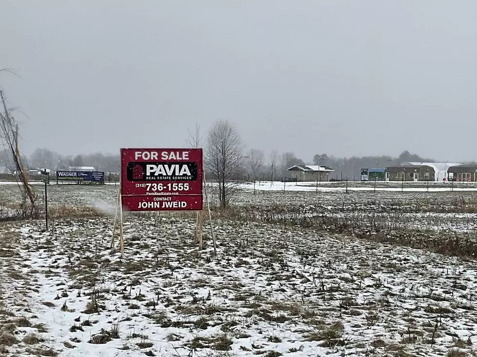 Farmer Selling Family Farm After 25 Years in Central New York