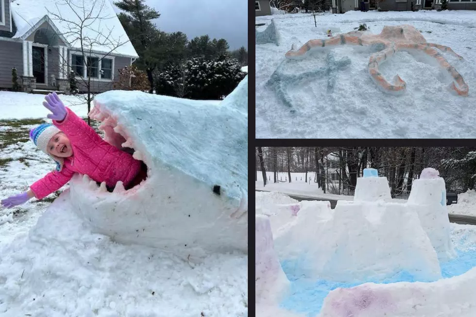 Creative New Yorker Takes Snow Sculpting to a Whole New Level