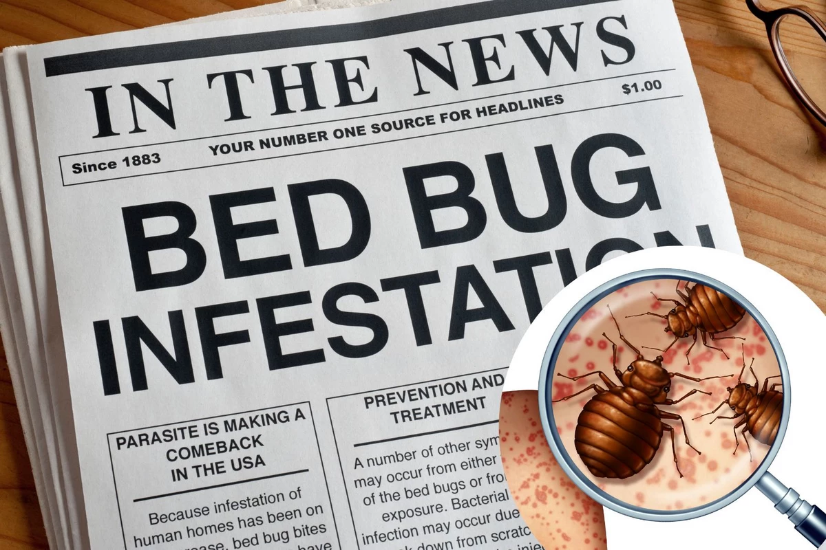 Bed Bugs Back in New York! 2 on Orkin's Top 50 Bed Bug Cities