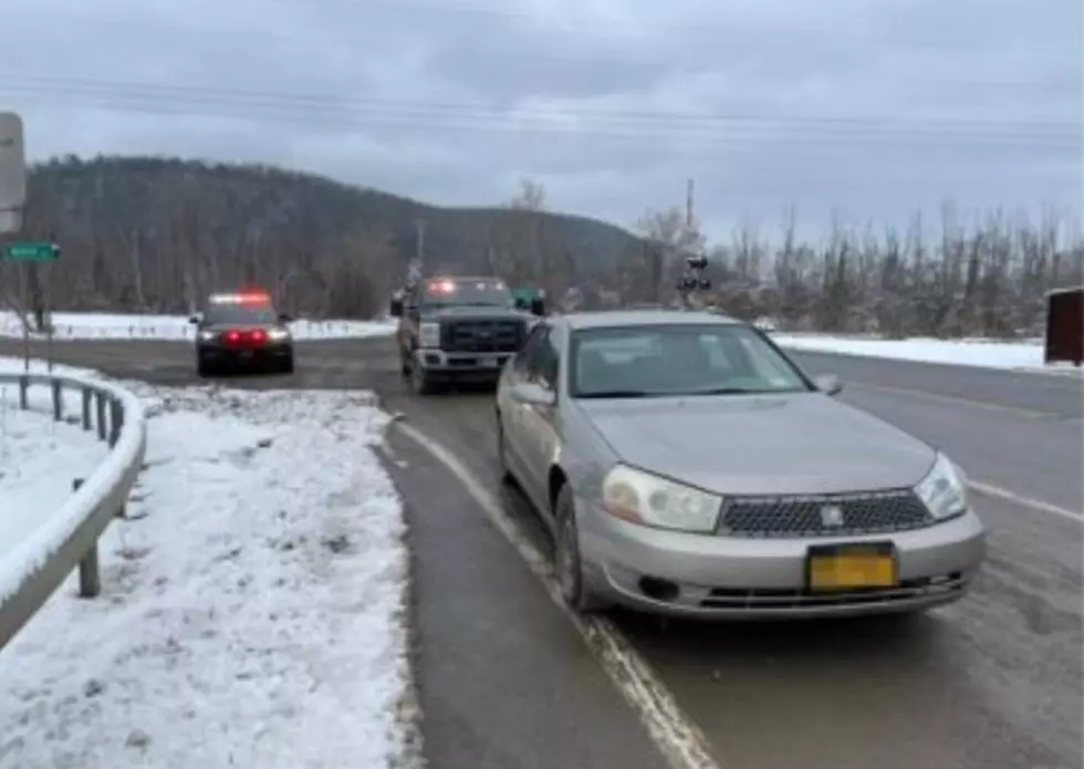 Credit - NYS Department of Environmental Conservation