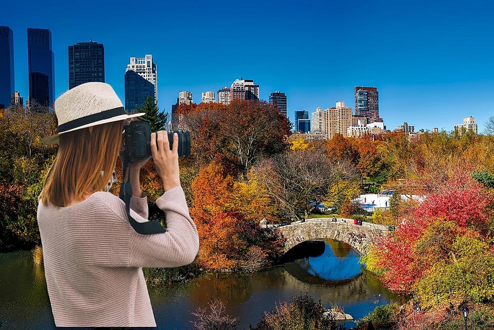 10 of the Most Instagram Worthy Cities in New York
