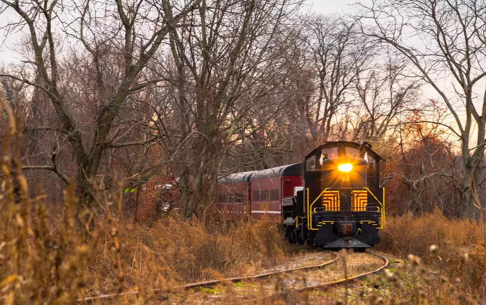 Joe Janasiewicz, Catskill Mountain Railroad Co.