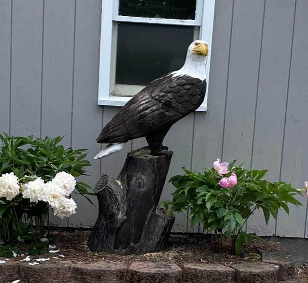 Help Find Eagle Honoring Late Father Stolen From CNY Family While on Vacation