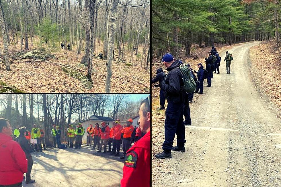 Over 90 People Sent to Find Missing Hiker in Upstate New York
