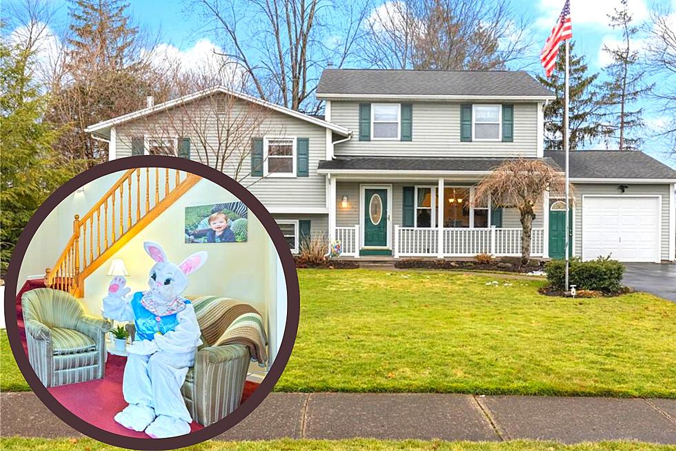 Very 'Bunny' Home Listing in New York Quickly Hops off the Market