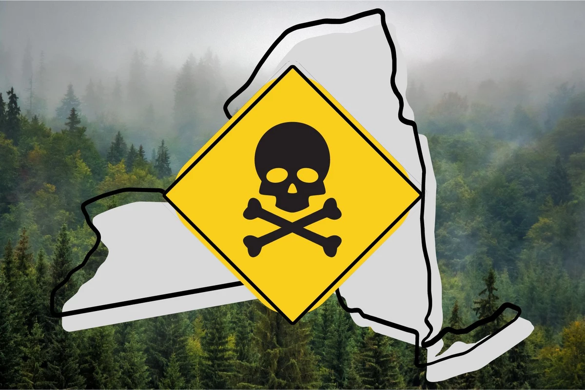 Deadliest Creature on Earth is Now Active in Upstate New York