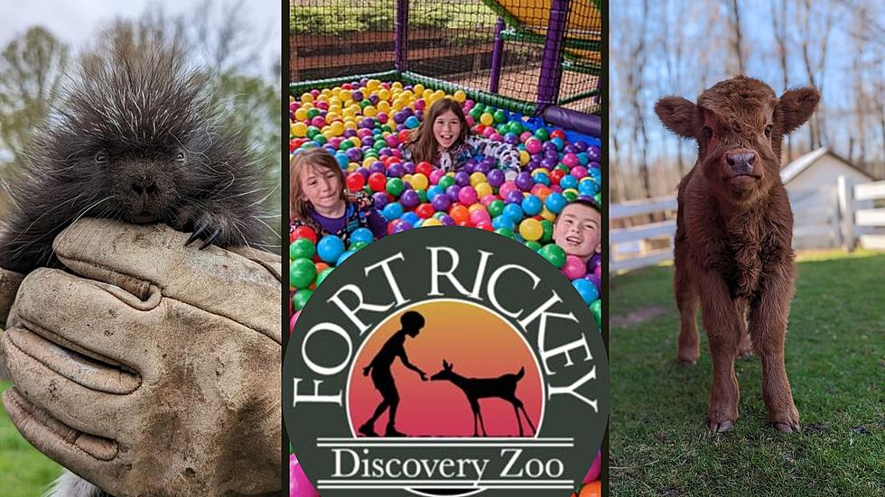 New Things to See & Do When Fort Rickey Opens for 2023 Season