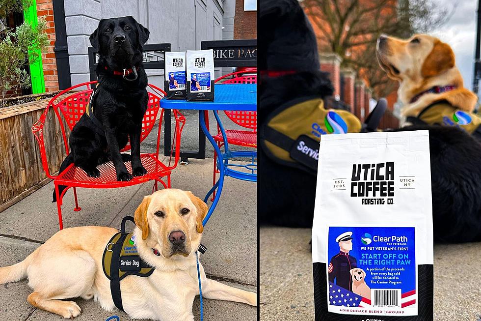 Coffee, Dogs & Veterans? They Combine for an Amazing Cause in CNY