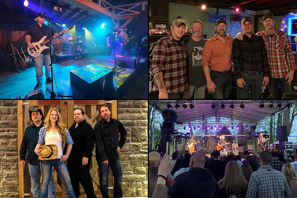 Meet All The Local Bands Performing This Year For FrogFest 34