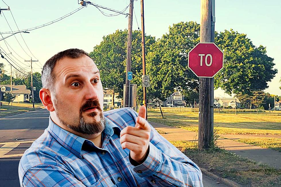 You See This? Unique Stop Sign Turning Heads in Central New York