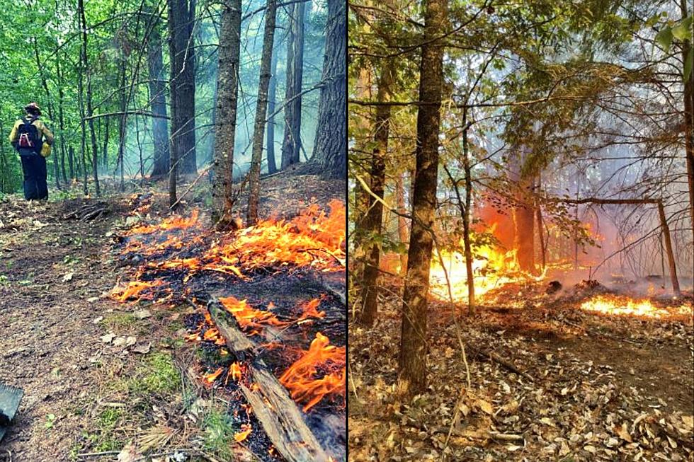 As Wildfires Spread in Canada; 6 New York Towns Also Facing Fires