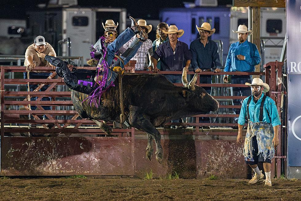 What the Bull! Rodeo Stampedes Into Upstate New York For 2 Days