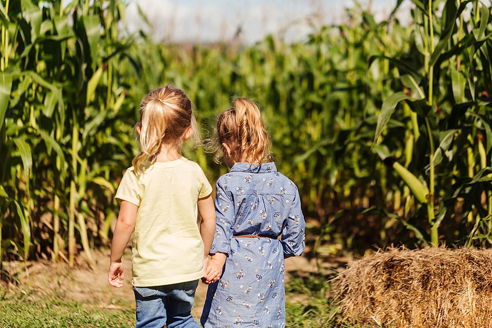 Epic New 6 Acre Corn Maze Honors New York Heroes