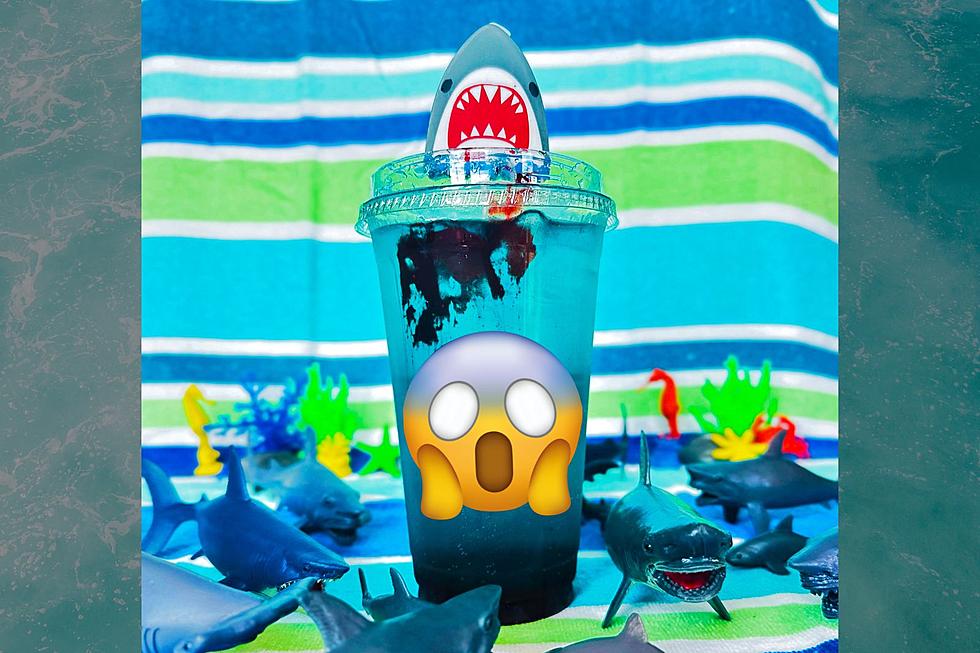 Celebrate Shark Week in New York with a Terrifying New Refresher