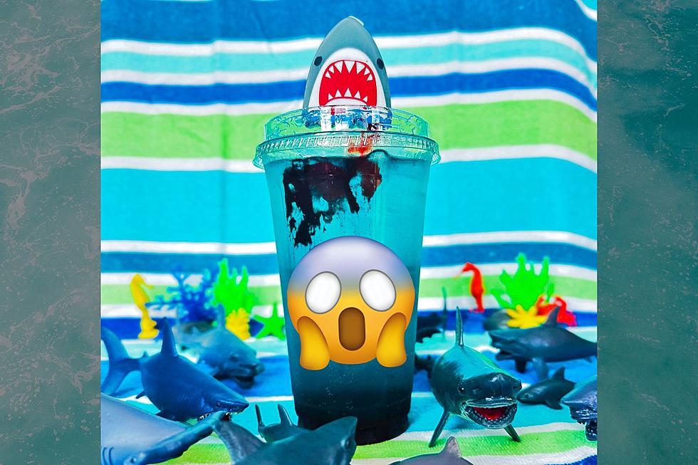 Celebrate Shark Week in New York with a Terrifyingly Tasty Refresher
