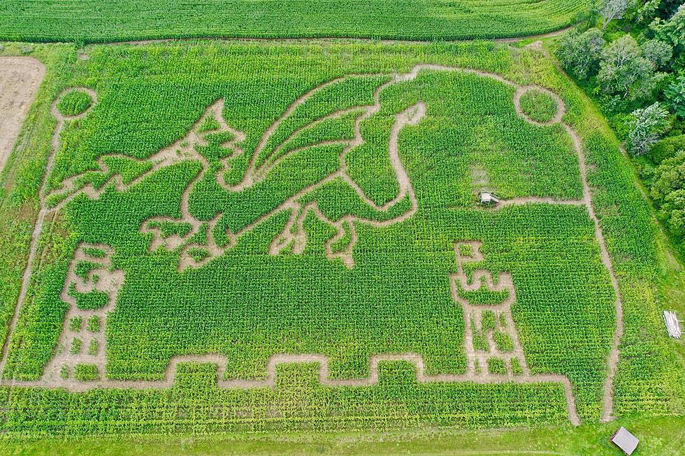 Upstate NY Corn Maze Takes the Castle with Fire Breathing Dragon