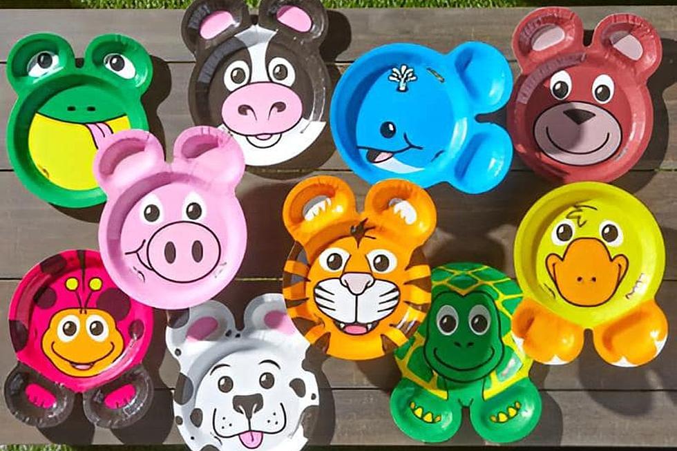 Oink, Oink, Zoo Pals! Making a Fun-tastic Return to New York State