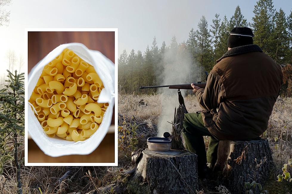 Dumb Hunter Caught Using Noodles to Bait a Bear in Upstate NY