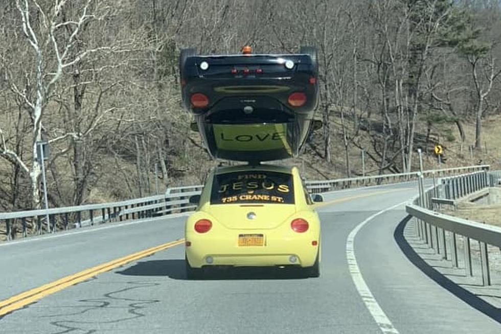 What the Bug?! Beetle Balancing Act Baffles New York Drivers