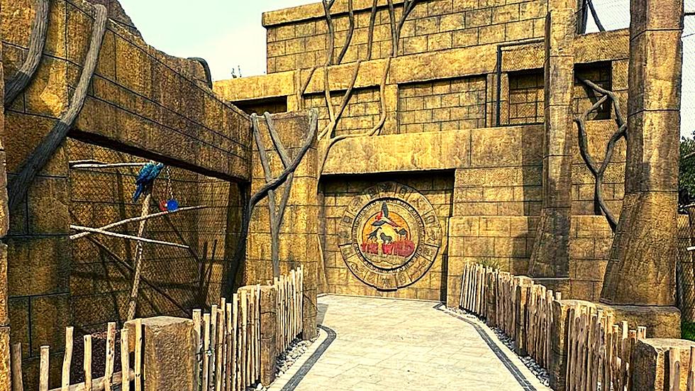 Wild Mayan Ruins Expansion Featuring 6 New Exhibits Opens at CNY Animal Park