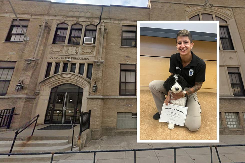 Utica Police Department Adds a New Fluffy Officer to the Force