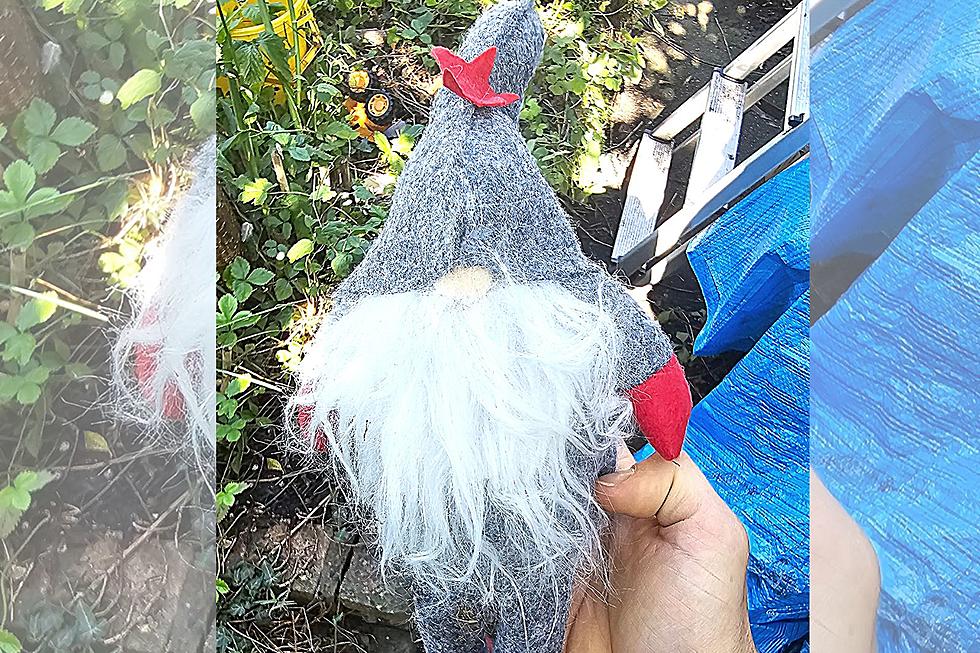 Mysterious Christmas Gnomes Showing Up in Gardens & It’s Not an Early Gift