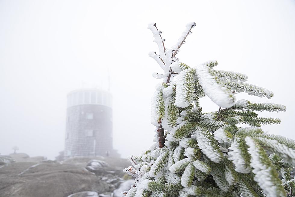 Snow it Begins! First Flakes of Winter Season Fall in Upstate New York