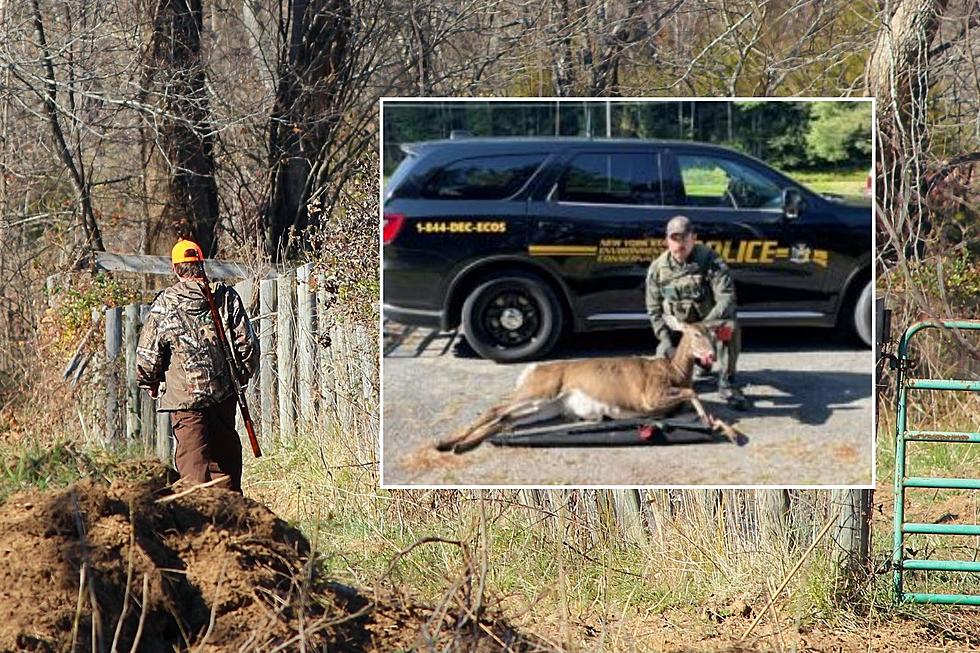 Hunter Breaks Not One, But 6 Laws Poaching a Deer in Upstate New York