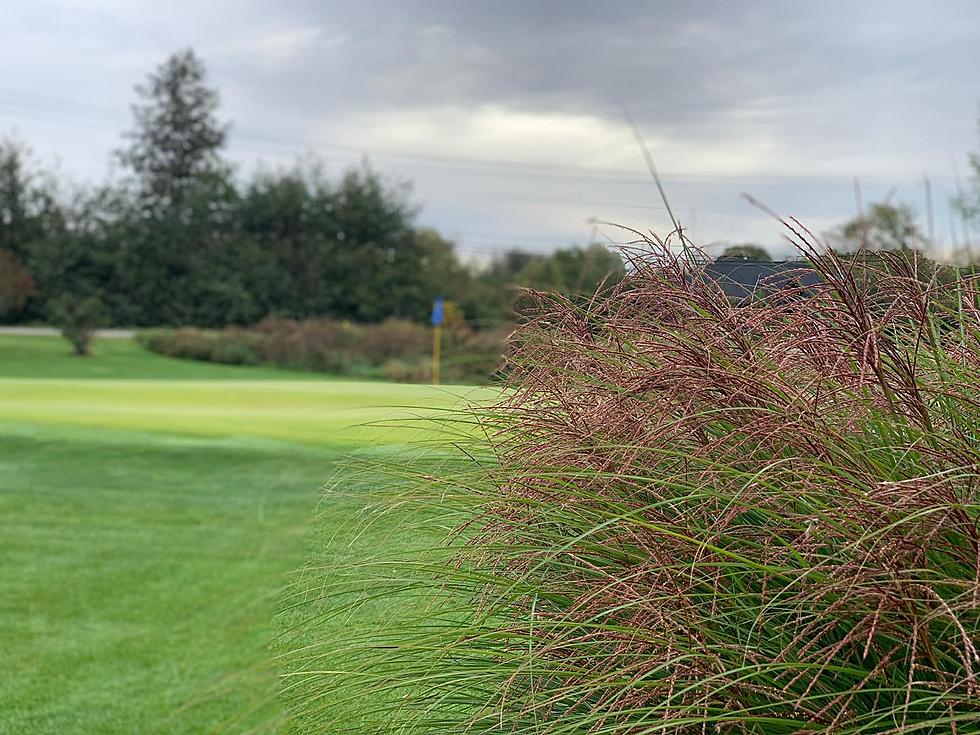 Central New Year Golf Course Breaks Tradition Transforming Fairways Into Ski Trails