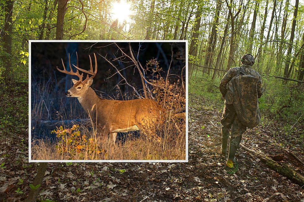 Upstate New York Hunter Threatens Officer After Illegally Taking 2 Deer
