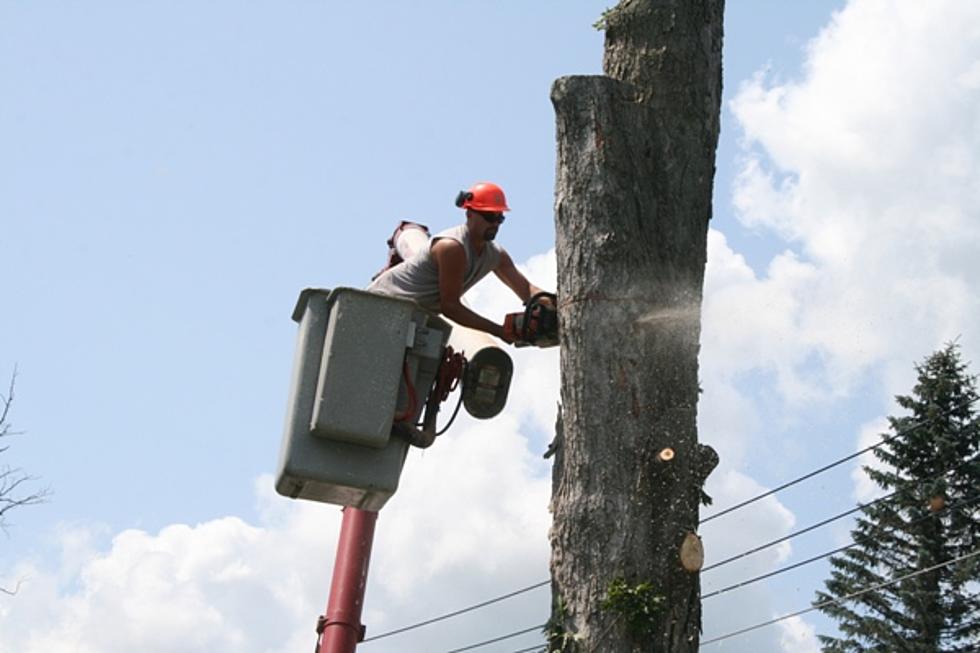 Have You Seen 2 Chainsaws That Fell From Faulty Tailgate In Central New York