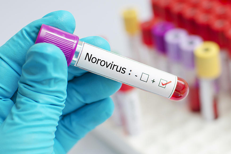 Norovirus Outbreak Hits One Central New York Town