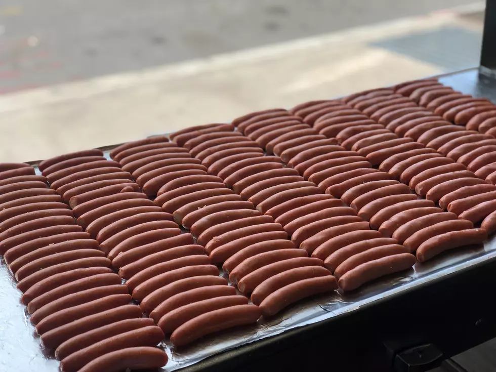 famous lunch best hot dogs
