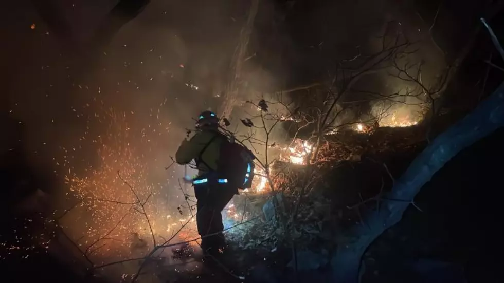 Out of Control Campfire Burns 32 Acres in New York