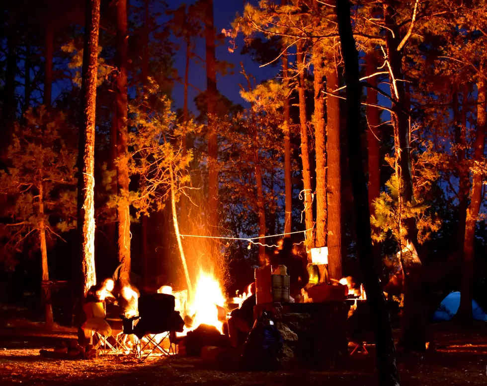 Large Underage Drinking Party in New York State Forest Shut Down