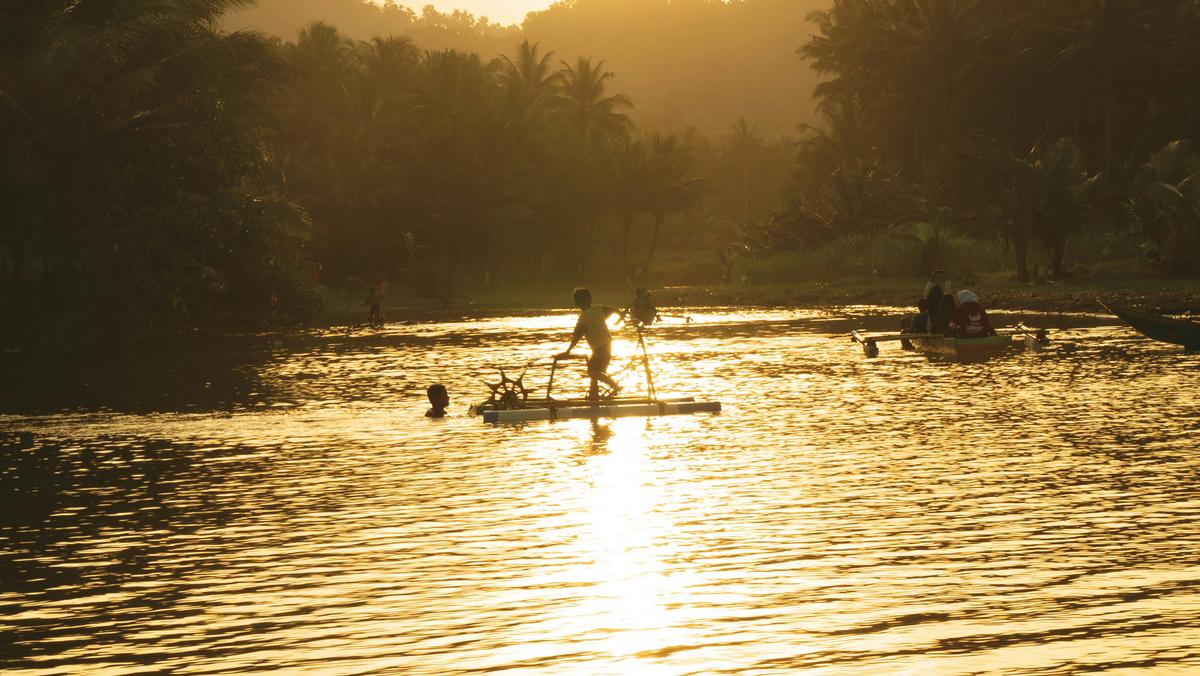 Go Outside: New York Launches 2025 State Parks Wellness Challenge