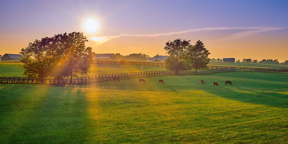 What Oneida County’s New Agricultural Plan Means for Local Farmers