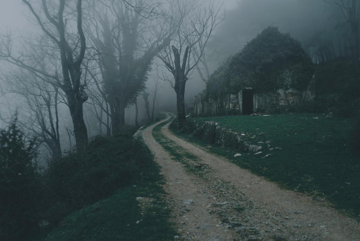 Ultimate List Of 2025 Haunted Hayrides In Central New York