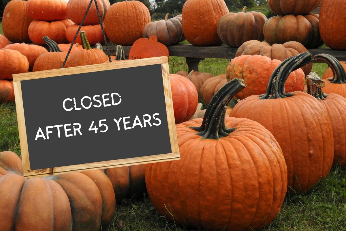 Beloved Farm Tradition in Central New York Ends After 45 Memorable Years
