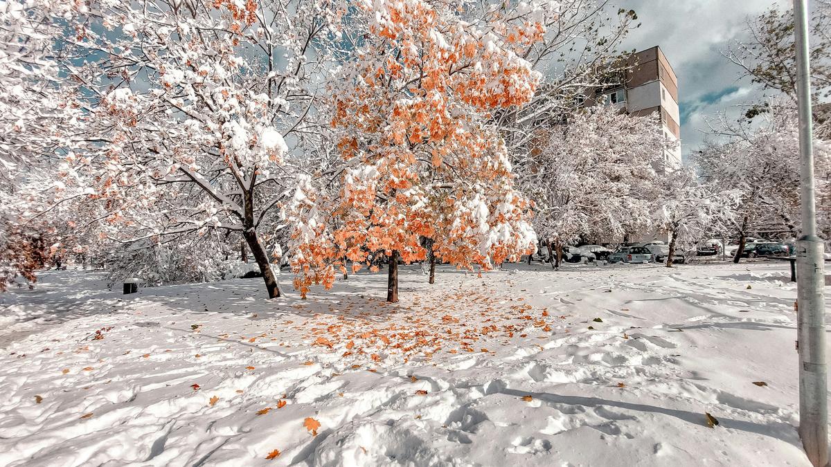 Central New York Could See Early Snow & a White Christmas