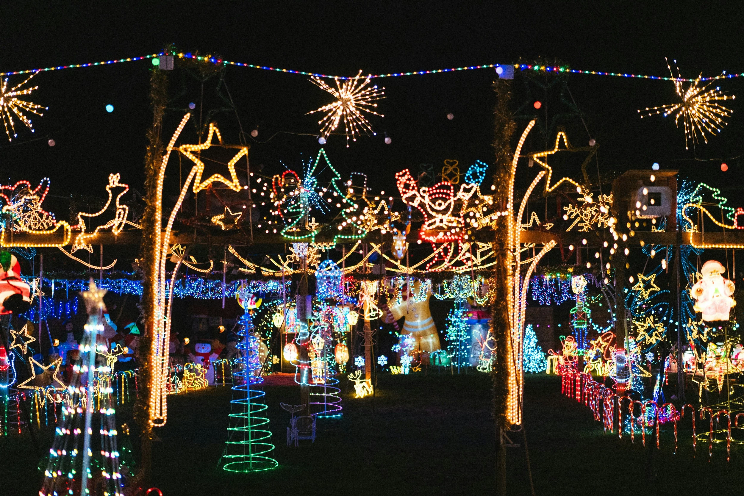Take Enchanting Stroll Through Wild Lights in Adirondack Forest