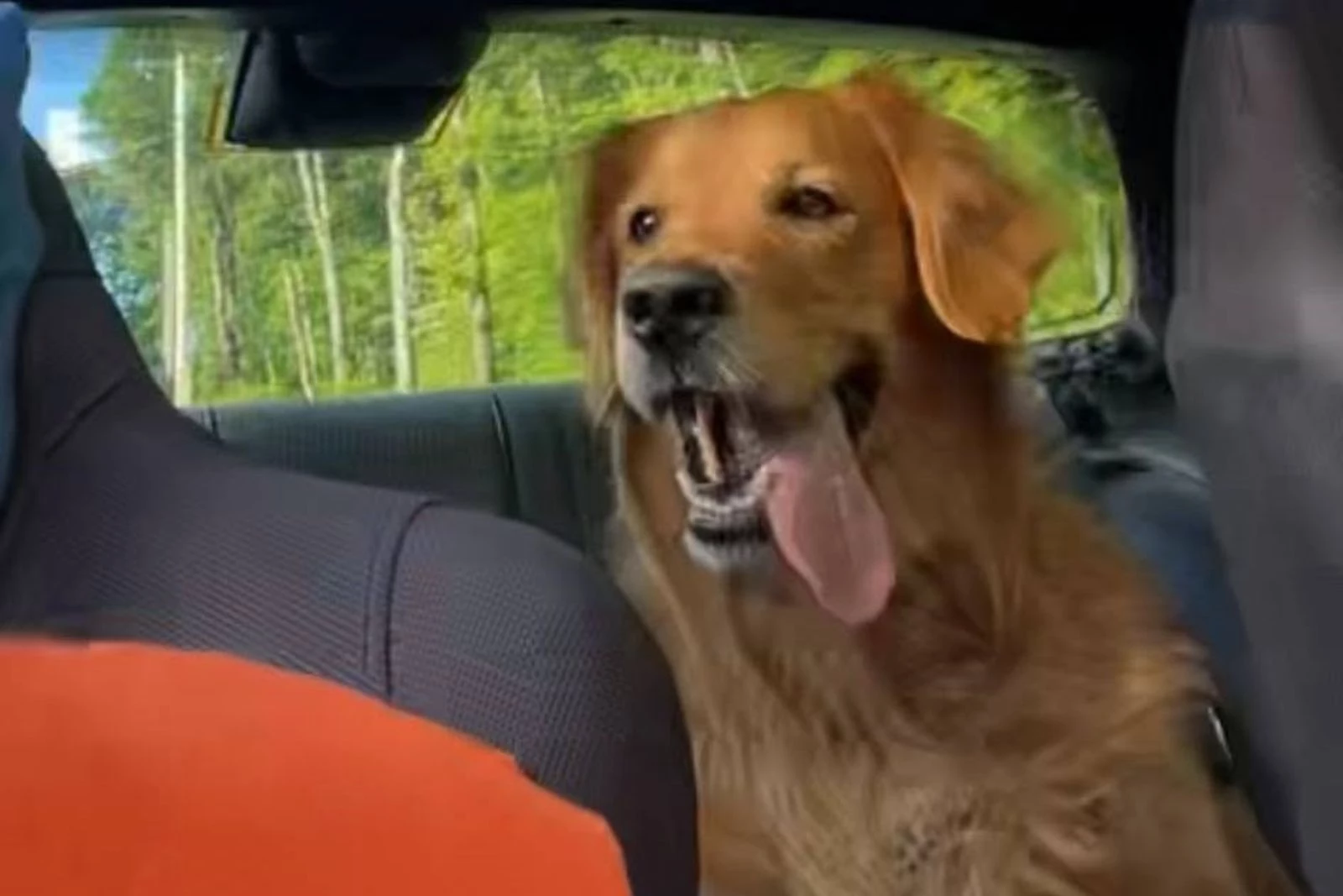 Search Continues for Cooper After Central New York Crash