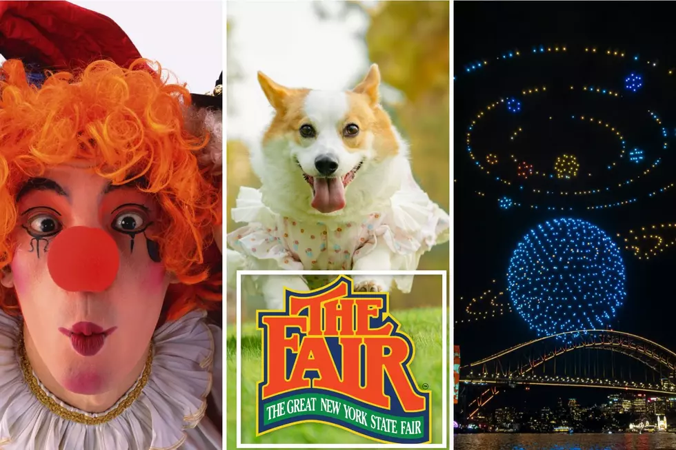 New York State Fair Adds Adorable and Amazing New Entertainment
